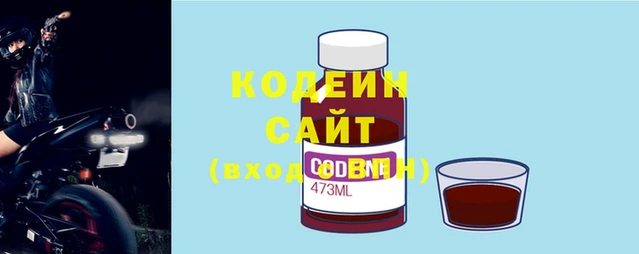 гидра Белокуриха