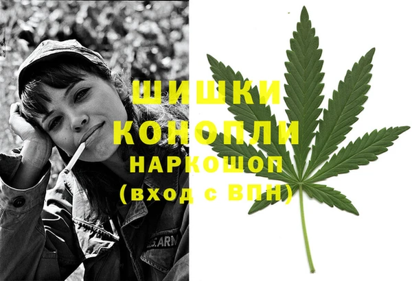 мяу мяу мука Беломорск