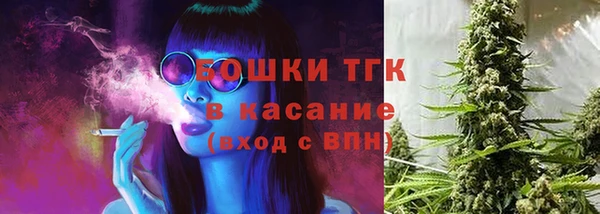 мяу мяу мука Беломорск