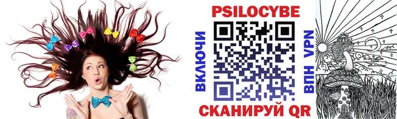 Купить где Черепаново Галлюциногенные грибы GOLDEN TEACHER